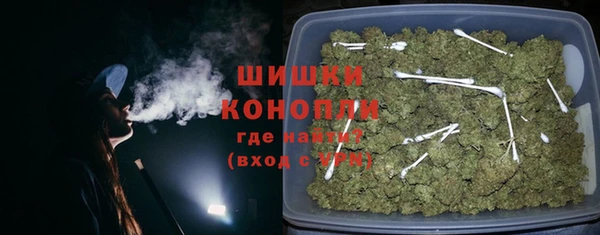 ГАЛЛЮЦИНОГЕННЫЕ ГРИБЫ Белоозёрский