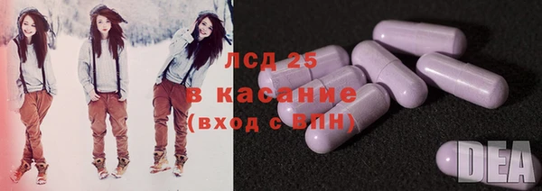 PSILOCYBIN Белокуриха