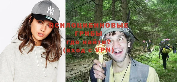 ГАЛЛЮЦИНОГЕННЫЕ ГРИБЫ Белоозёрский