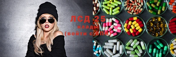 ГАЛЛЮЦИНОГЕННЫЕ ГРИБЫ Белоозёрский