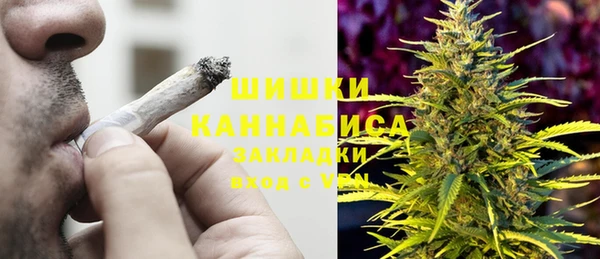 PSILOCYBIN Белокуриха