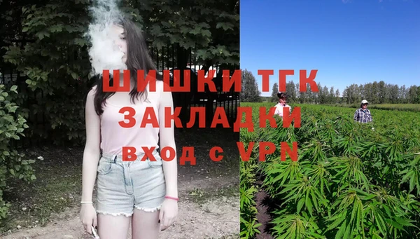 PSILOCYBIN Белокуриха