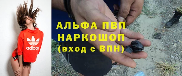 ГАЛЛЮЦИНОГЕННЫЕ ГРИБЫ Белоозёрский